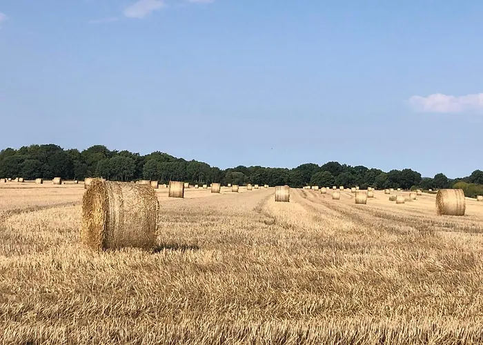 Beautiful View At Unique Farm