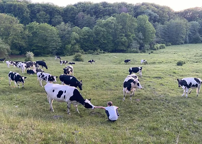 Beautiful View At Unique Farm